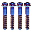 Titanium Flange M10 Bolt (M10x40mm Pitch 1.25mm, Burnt Blue)