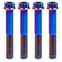 Titanium Flange M10 Bolt (M10x65mm Pitch 1.5mm, Burnt Blue)