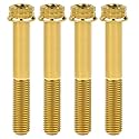 Titanium Flange M10 Bolt (M10x65mm Pitch 1.5mm, Gold)