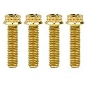 Titanium Flange M10 Bolt (M10x30mm Pitch 1.5mm, Gold)
