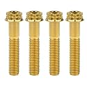 Titanium Flange M10 Bolt (M10x45mm Pitch 1.25mm, Gold)