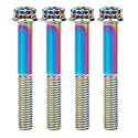 Titanium Flange M10 Bolt (M10x50mm Pitch 1.5mm, Multicolored)