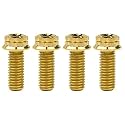 Titanium Flange M10 Bolt (M10x20mm Pitch 1.25mm, Gold)