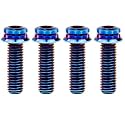 Titanium Flange M10 Bolt (M10x25mm Pitch 1.25mm, Burnt Blue)