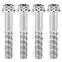Titanium Flange M10 Bolt (M10x45mm Pitch 1.25mm, Silver)