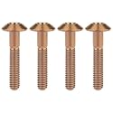 Titanium M4 M5 M6 Button Torx Head Bolt Screw (Bronze, M6x30mm)
