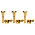 Titanium Bolt M8 Hexagon Socket Screw Gold, M8x33mm Pack of 6