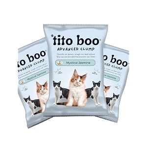 scented bentonite cat litter - 6 kg - pack of 3 - total 18 kg - all-natural clumping and odor-control formula for cats 