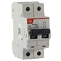 Tl L&T 40A 2-Pole (DP) MCB