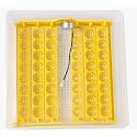 TM&W Egg Incubator Mini Machine New Chickens/Ducks/Goose Egg Incubator Poultry Hatcher Brooder 48-Egg, Auto Turn