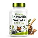 tnvitamins Boswellia Extract Capsules, 120 Count | 1,200 mg Per Capsule | 65% Boswellic Acids + 10:1 Concentrated Extract | Boswellia Serrata | Joint & Mobility Support*
