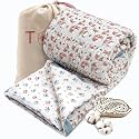 TOAIArt Jaipuri Quilt | Lightweight Comforter/Razai/Rajai | Hand Quilted | Block Printed Reversible 3 Layer| Premium Mulmul Cotton| Cotton Wool Filling| Queen Size 90” X 108” | Funny Fox