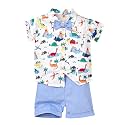 Toddler Baby Boy Clothes Summer Outfits Shorts Set 12 Months-4T