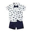 Toddler Baby Boy Clothes Summer Outfits Shorts Set 12 Months-4T