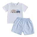 Toddler Baby Boy Easter Rabbit Outfit Short Sleeve Bunny Carrot Smocked T-shirt Elastic Waist Shorts Summer Clothes