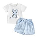Toddler Baby Boy Easter Rabbit Outfit Short Sleeve Bunny Carrot Smocked T-shirt Elastic Waist Shorts Summer Clothes