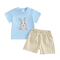 Toddler Baby Boy Easter Rabbit Outfit Short Sleeve Bunny Carrot Smocked T-shirt Elastic Waist Shorts Summer Clothes