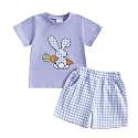 Toddler Baby Boy Easter Rabbit Outfit Short Sleeve Bunny Carrot Smocked T-shirt Elastic Waist Shorts Summer Clothes
