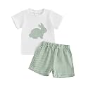 Toddler Baby Boy Easter Rabbit Outfit Short Sleeve Bunny Carrot Smocked T-shirt Elastic Waist Shorts Summer Clothes
