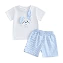 Toddler Baby Boy Easter Rabbit Outfit Short Sleeve Bunny Carrot Smocked T-shirt Elastic Waist Shorts Summer Clothes