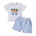 Toddler Baby Boy Easter Rabbit Outfit Short Sleeve Bunny Carrot Smocked T-shirt Elastic Waist Shorts Summer Clothes