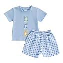 Toddler Baby Boy Easter Rabbit Outfit Short Sleeve Bunny Carrot Smocked T-shirt Elastic Waist Shorts Summer Clothes