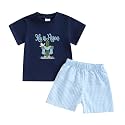 Toddler Baby Boy Easter Rabbit Outfit Short Sleeve Bunny Carrot Smocked T-shirt Elastic Waist Shorts Summer Clothes