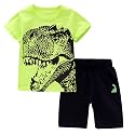 Toddler Boy Clothes Cartoon Cotton Summer Short Sleeve T-Shirt and Shorts Kids Outfit Set 2-7 Year