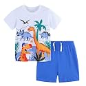 Toddler Boy Clothes Cartoon Cotton Summer Short Sleeve T-Shirt and Shorts Kids Outfit Set 2-7 Year