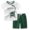 Toddler Boy Clothes Cartoon Cotton Summer Short Sleeve T-Shirt and Shorts Kids Outfit Set 2-7 Year