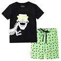 Toddler Boy Clothes Kids Summer Cotton Outfits Short Set Size 2-7Y