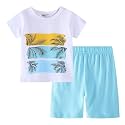 Toddler Boy Clothes Kids Summer Cotton Outfits Short Set Size 2-7Y