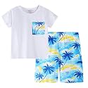 Toddler Boy Clothes Kids Summer Cotton Outfits Short Set Size 2-7Y
