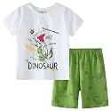 Toddler Boy Clothes Kids Summer Cotton Outfits Short Set Size 2-7Y