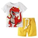 Toddler Boy Clothes Kids Summer Cotton Outfits Short Set Size 2-7Y