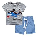 Toddler Boy Clothes Kids Summer Cotton Outfits Short Set Size 2-7Y