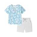 Toddler Boy Clothes Short Sleeve T-Shirt + Shorts Set 2PCS Outfit