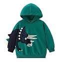 Toddler Boy Hoodie Cartoon Graphic Fall Clothes Kids Cute Sweatshirts With Kangaroo Pocket 2-8T