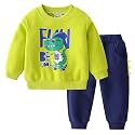 Toddler Boys Sweatshirt and Pants Set Fall Winter Clothes Outfits