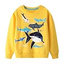 Toddler Boys Sweatshirts Kids Cotton Long Sleeve Crewneck Pullover Cartoon Print Shirts 2-7T