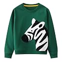 Toddler Boys Sweatshirts Kids Cotton Long Sleeve Crewneck Pullover Cartoon Print Shirts 2-7T