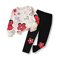 Toddler Girl Clothes Floral Printed Sweatshirt Pants 2Pcs Fall Outfits for Little Girls Clothing Set Size 3-7 Years