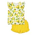 Bamboo Viscose Toddler Girls Summer Outfits Shorts Set 2-6Y