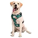 Tom and Jerry X Mutt of Course - Happy Green Harness (X-Large)