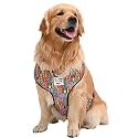 Mutt of Course Tom & Jerry X - Woofy Poses Dog Harness|Neck- 16-22" (L)|Easy Control Chest Belt For Large Dogs Like Golden Retriever, Labrador Etc.|Washable & Adjustable Harness