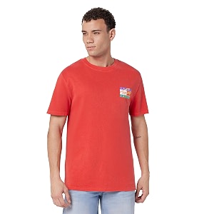 Tommy Hilfiger Men T-Shirt