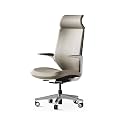 TOMU Executive Office Chair Genuine Leather, Luxury Top Grain Genuine Leather, Ergonomic with Headrest, Armrests, High Back Desk Chair Elegant for Home Office and Boardroom (Apricot Gray)