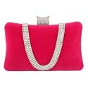 TOOBA Women's Beautiful Flower Box Clutch Bag | Detachable Chain Sling Strap| Ladies Purse Wallet, Silver