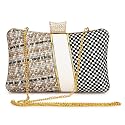 TOOBA Women's Beautiful Flower Box Clutch Bag | Detachable Chain Sling Strap| Ladies Purse Wallet, Multicolour