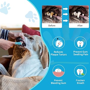 Toothbrush for